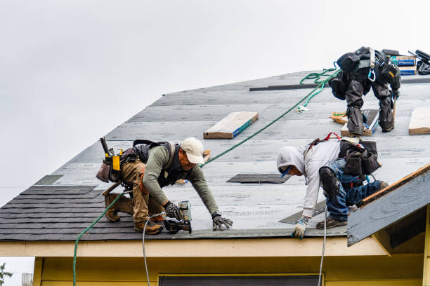 Professional Storm Damage Roof Repair technician working in Fred, TX